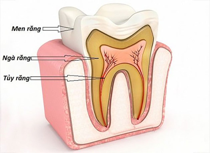 Đánh răng sau ăn ngay có thể bị ảnh hưởng men răng